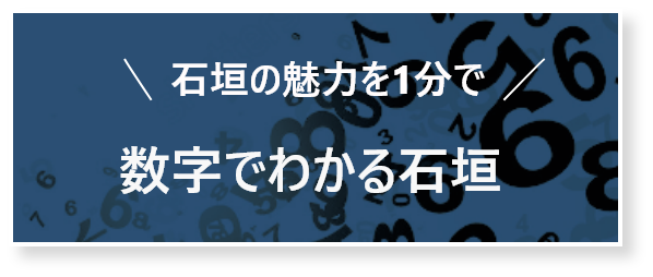 石垣の魅力がわるわかり 数字でわかる石垣